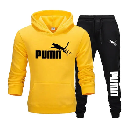 New collection